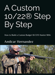 A CUSTOM 10/22® STEP BY STEP by Amilcar Hernández